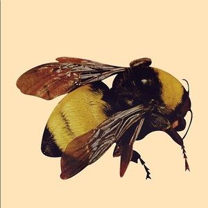 Meet your Posher, Ella